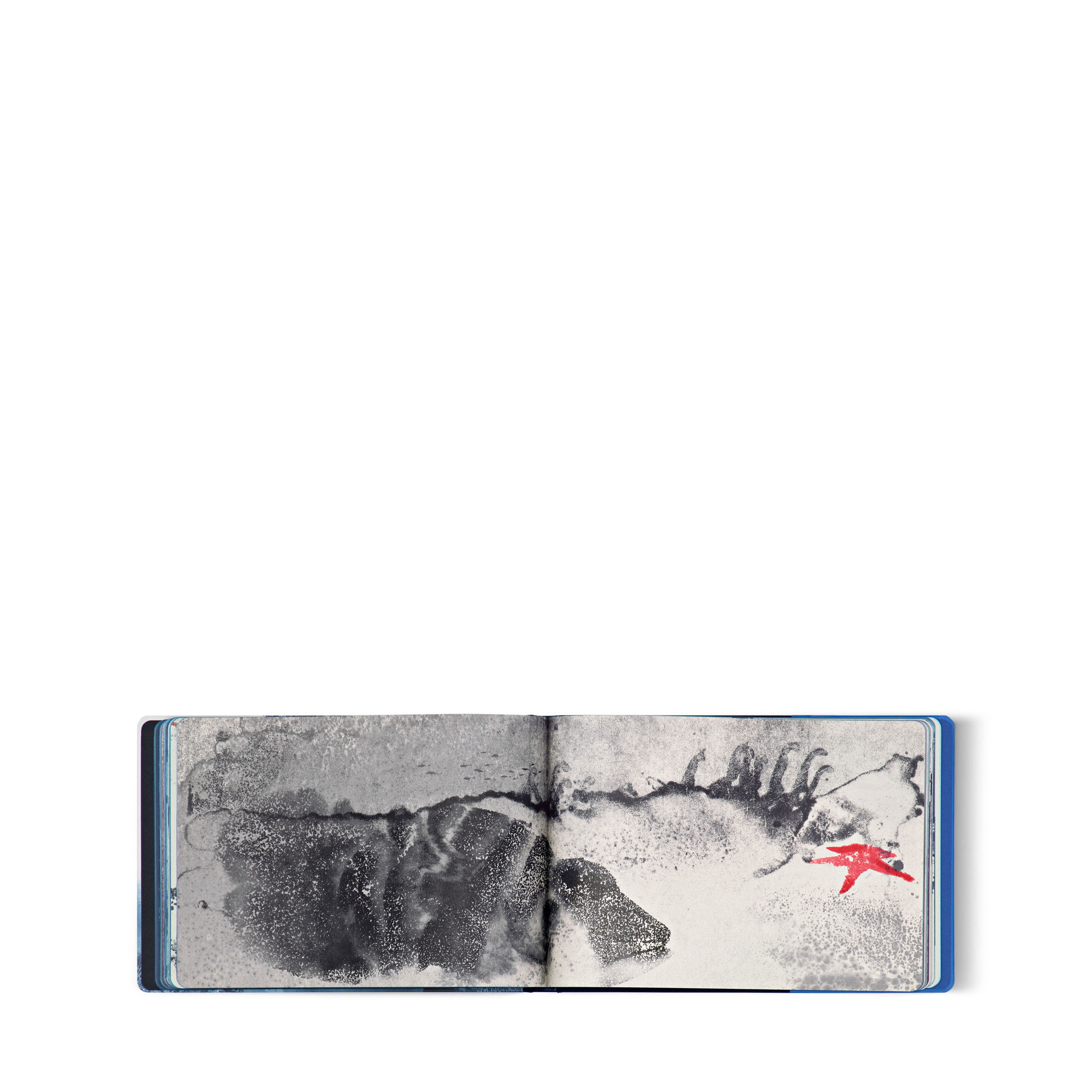 Travel Book Mediterranean Sea By Aurore de Morinerie  in Trunks, Travel and Home