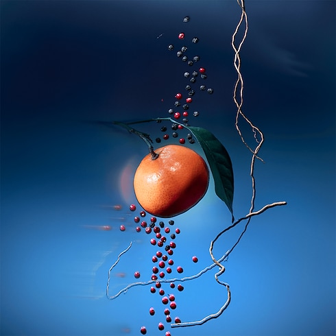 Travel Spray Refill Météore in Perfumes and Beauty's Collections Travel collections by Louis Vuitton (Product zoom)