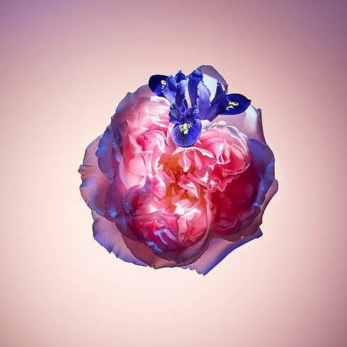 Travel Spray Rose des Vents in Perfumes and Beauty's Collections Travel collections by Louis Vuitton (Product zoom)