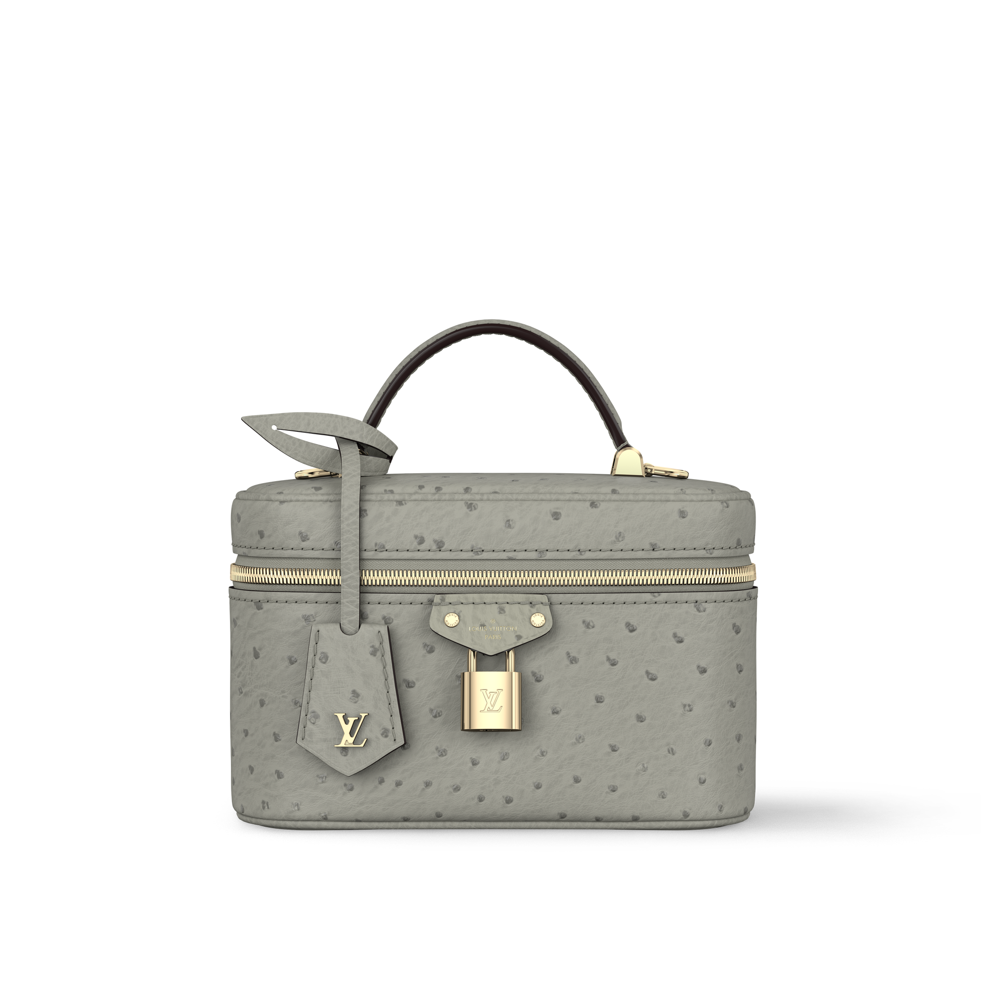 Vanity Chain Pouch Autruche in Women